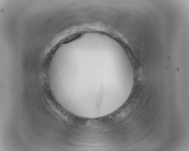 X0000070431496200607072346