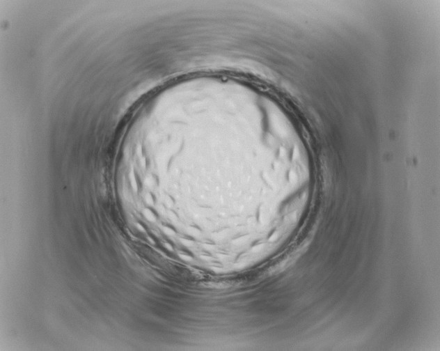 X0000070431497200607072346