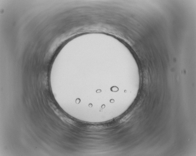 X0000070431499200607072346