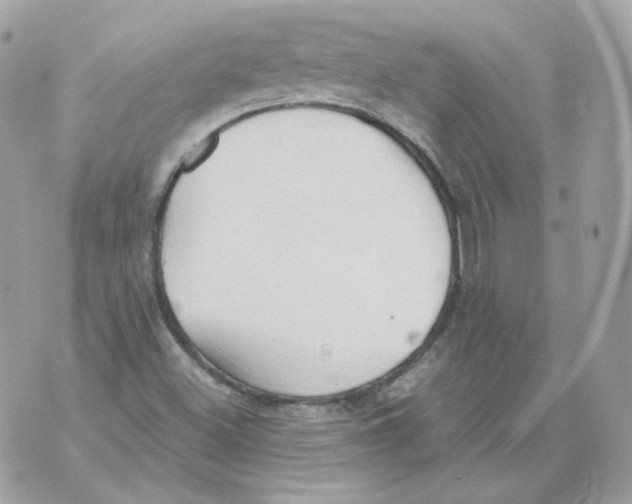 X0000070431500200607072346