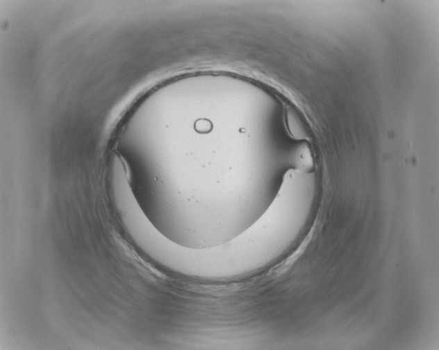 X0000070431502200607072346