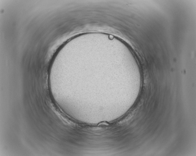 X0000070431507200607072346