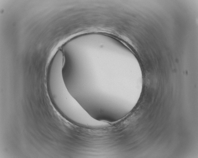 X0000070431508200607072346