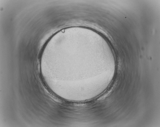 X0000070431509200607072346