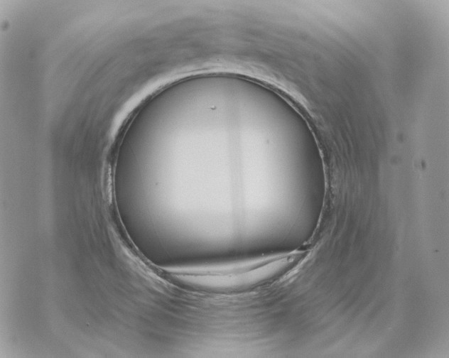 X0000070431510200607072346