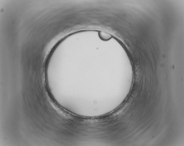 X0000070431511200607072346