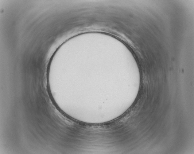 X0000070431512200607072346