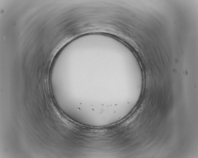 X0000070431513200607072346