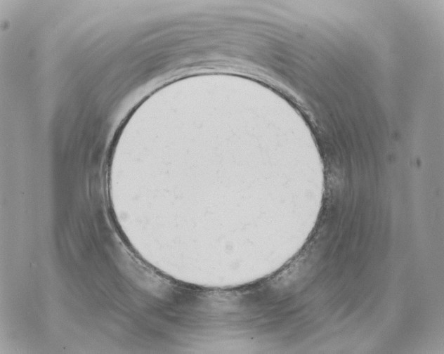 X0000070431514200607072346