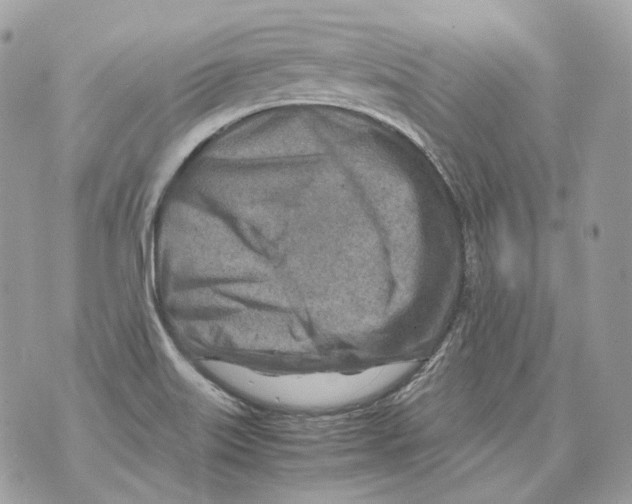 X0000070431515200607072346