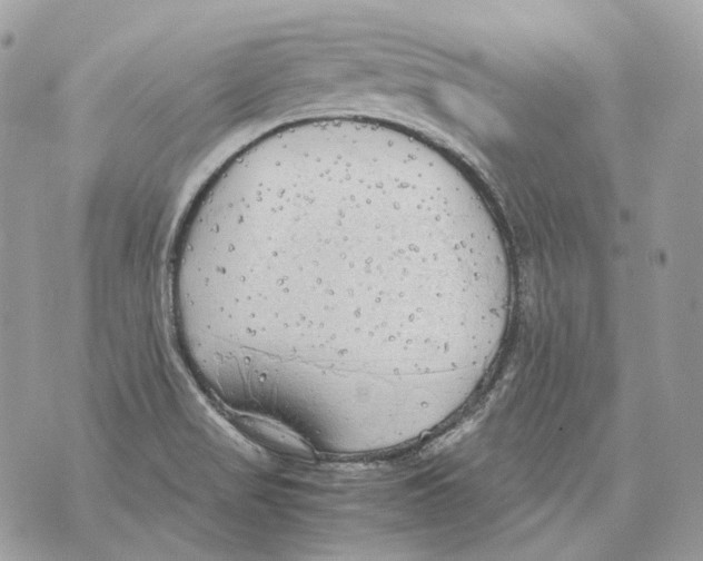 X0000070431517200607072346