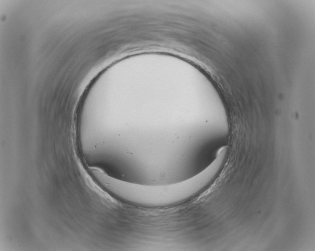 X0000070431518200607072346