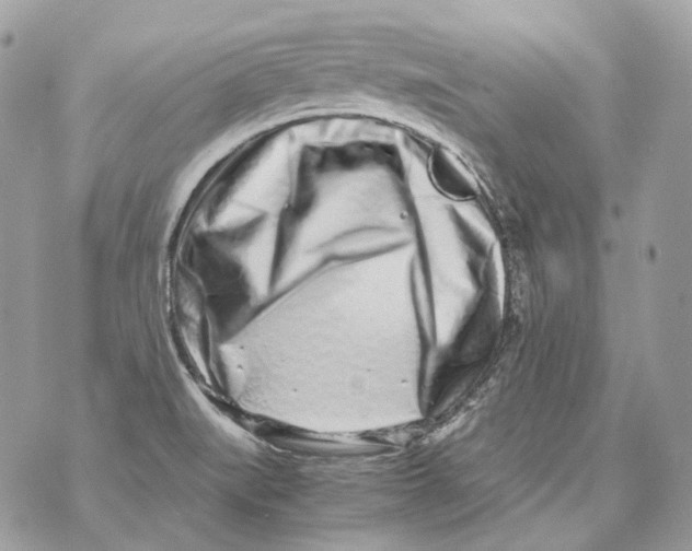 X0000070431519200607072346