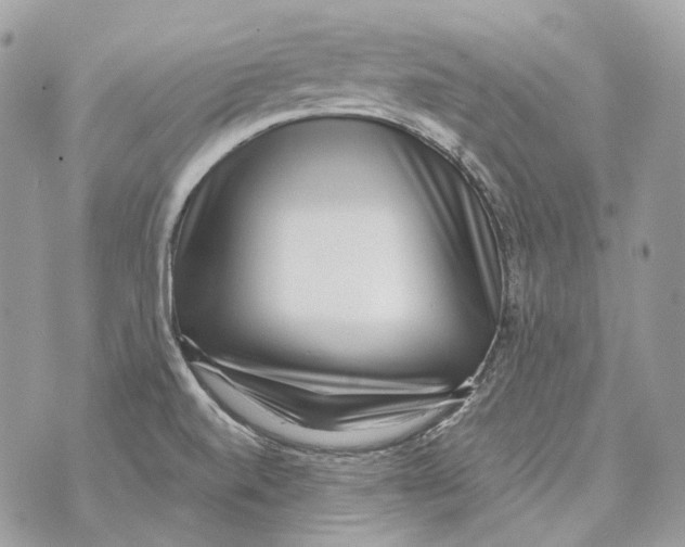 X0000070431520200607072346