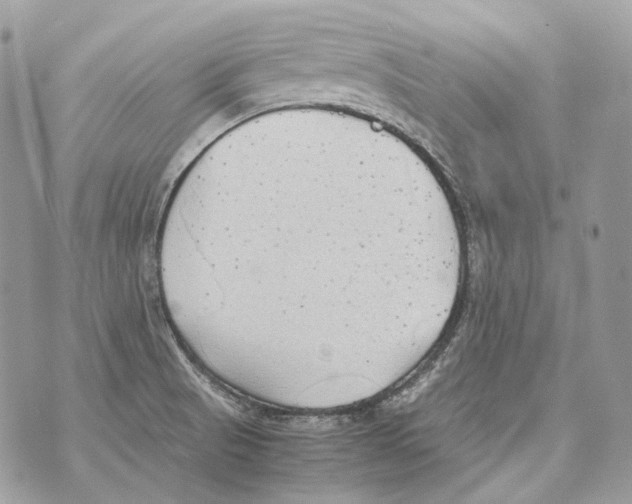 X0000070431521200607072346