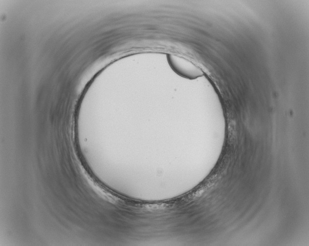 X0000070431523200607072346