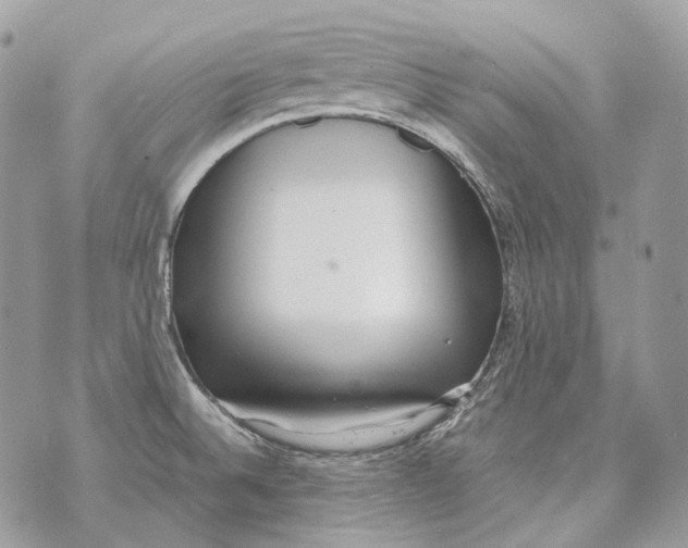 X0000070431524200607072347