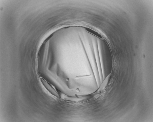 X0000070431528200607072347