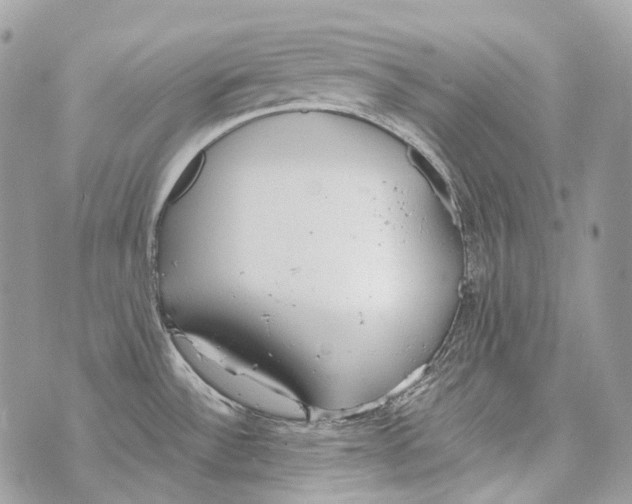 X0000070431532200607072347