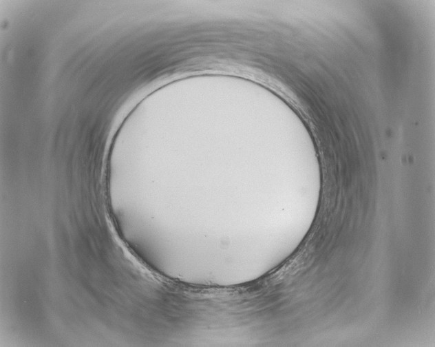 X0000070431536200607072347