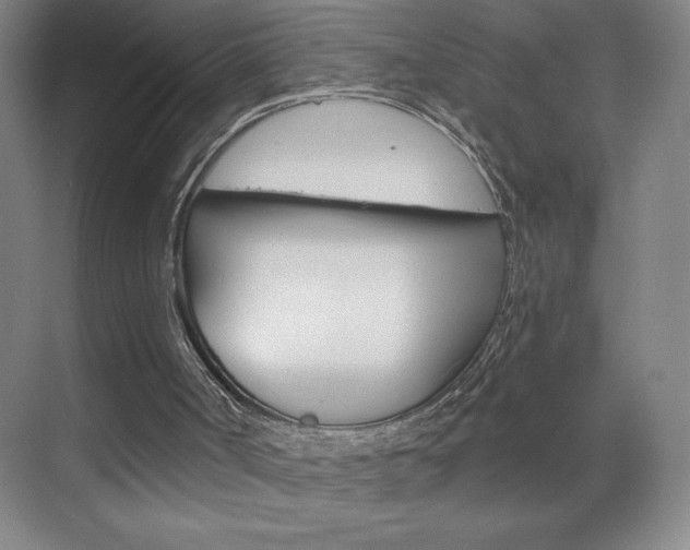 X0000070820002200606160928