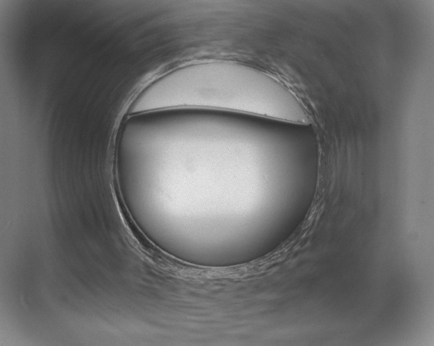 X0000070820003200606160927