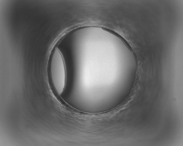 X0000070820007200606160927