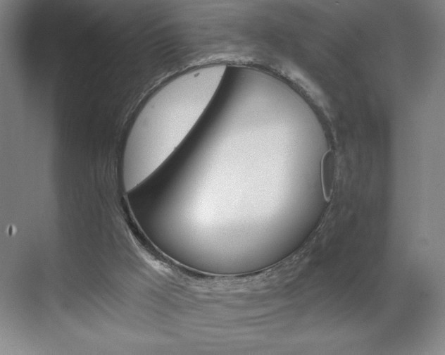 X0000070820009200606160927