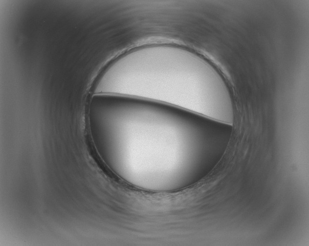 X0000070820015200606160927