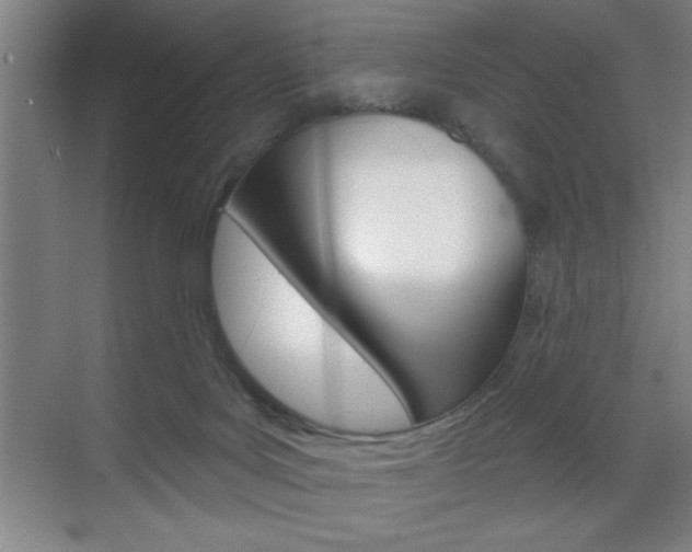 X0000070820027200606160927