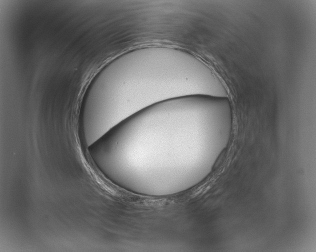 X0000070820049200606160926