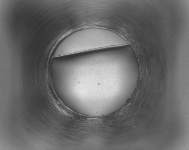 X0000070820050200606160926
