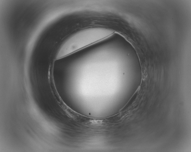 X0000070820052200606160926