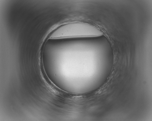 X0000070820054200606160926