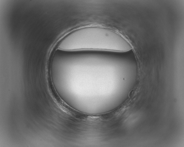 X0000070820055200606160926