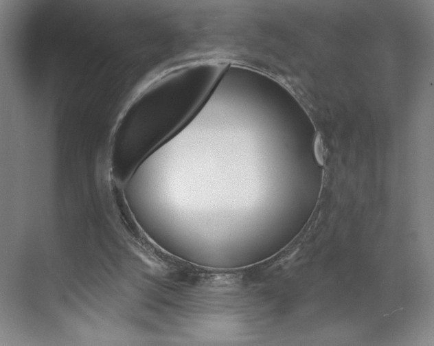 X0000070820056200606160926