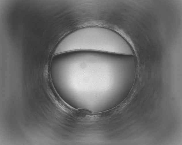 X0000070820057200606160926