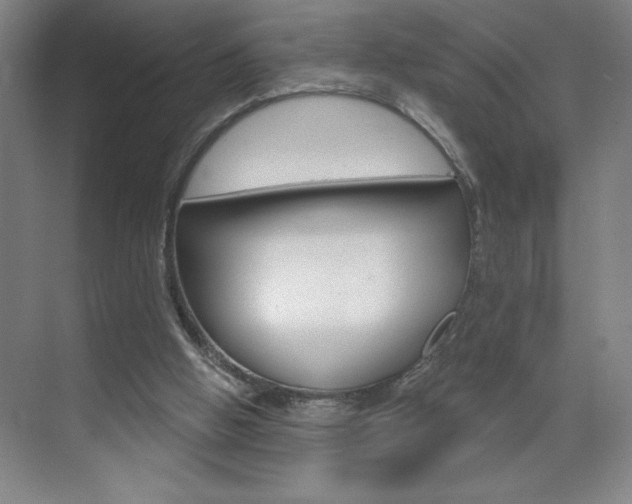 X0000070820058200606160926
