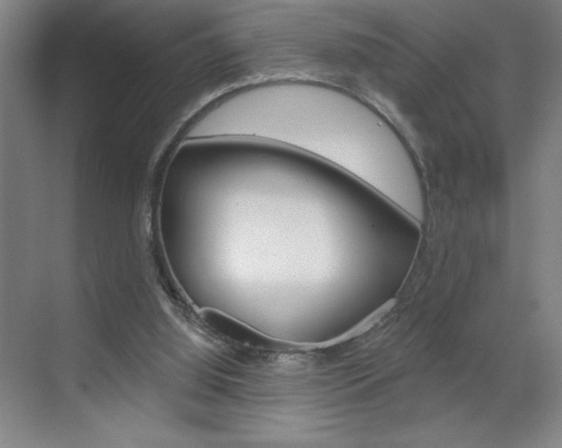 X0000070820060200606160926