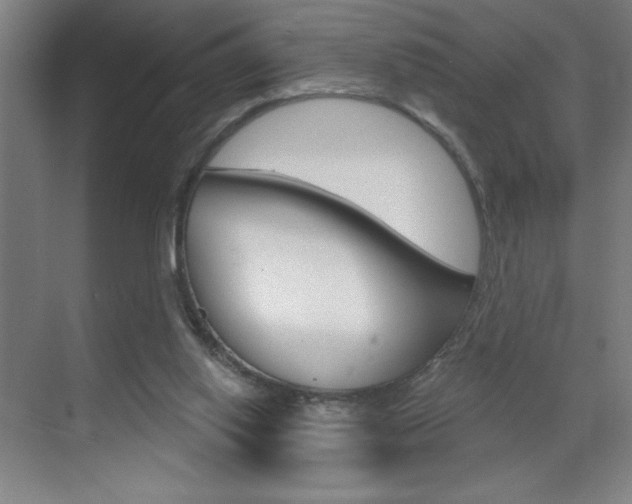 X0000070820062200606160926