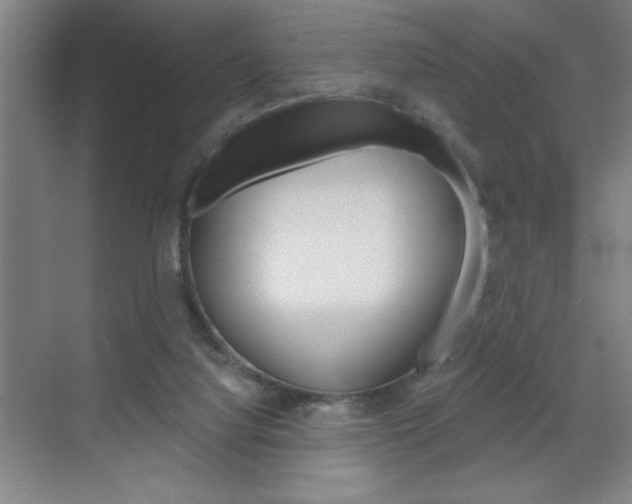 X0000070820068200606160926