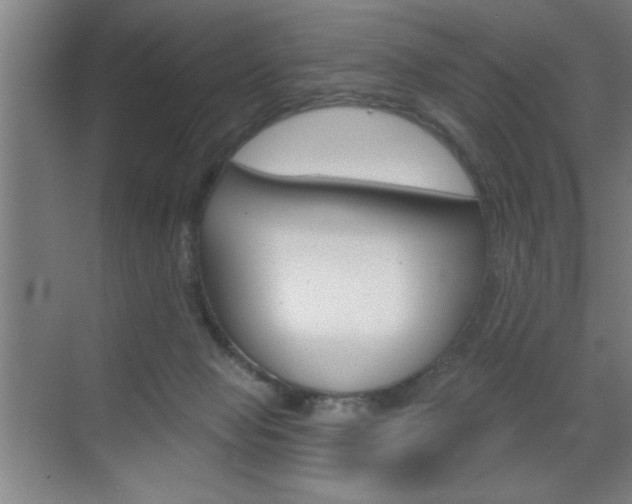 X0000070820077200606160926