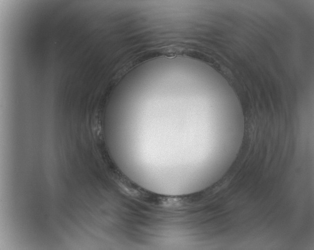 X0000070820091200606160927