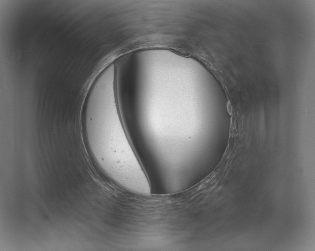 X0000070820099200606160926