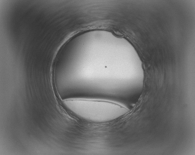 X0000070820100200606160926