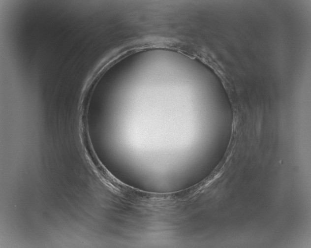 X0000070820101200606160926
