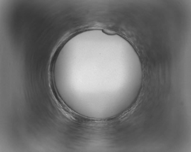 X0000070820102200606160926