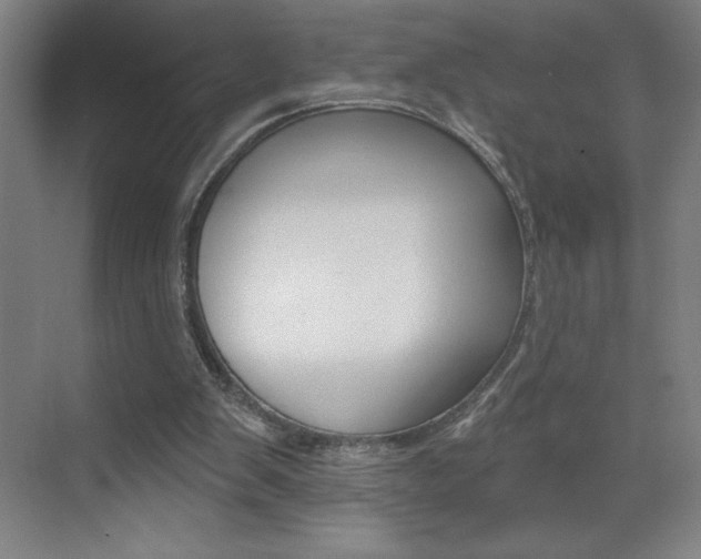 X0000070820103200606160926
