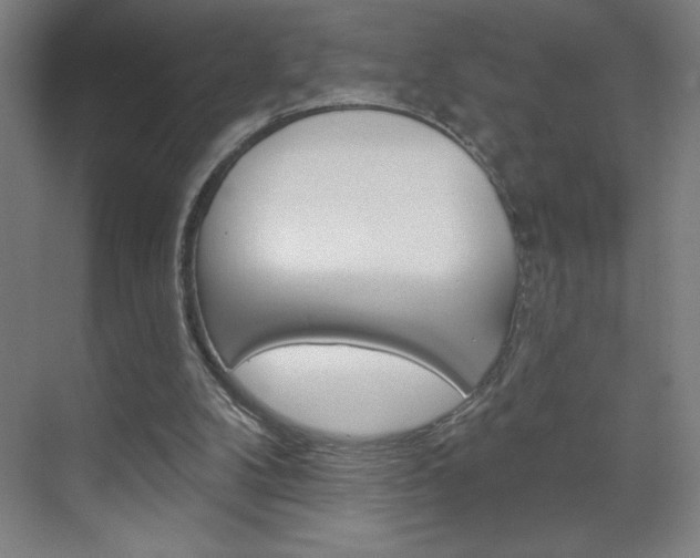 X0000070820104200606160926