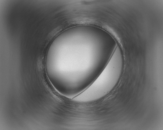 X0000070820105200606160926